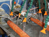 Spiral Rod Mold for PVC Spiral Reinforced Suction Hose Extrusion